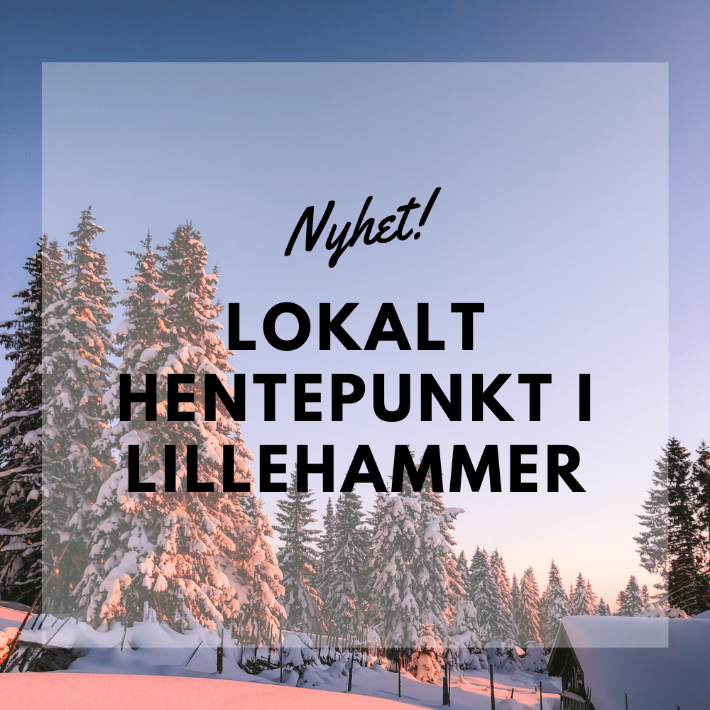 Ballonglevering.no – Avdeling i Lillehammer! - Ballonglevering.no