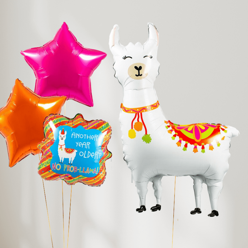 No Prob - Llama Ballongbukett - Ballonglevering.no