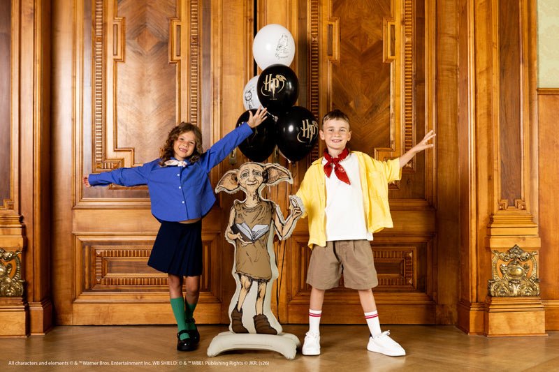 Stående Dobby Folieballong 54x105 cm - Ballonglevering.no